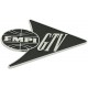 Acronyme "EMPI GTV"