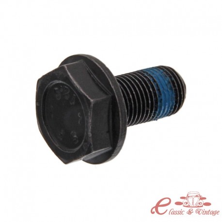 Tornillo volante de motor T25 D/TD + T4 (M10x1x19,5)