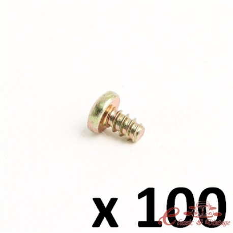 Juego de 100 tornillos autorroscantes cabeza redondeada 3,9x6,5 para clips de fijación ref 08558