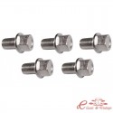 Joc de 5 cargols de rodes de cap arrodonit de 17 mm (14x1,5)