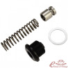 Kit de moll  i vàlvula de pressió d'oli per a motor T4 2000cc i WBX