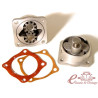 Bomba d'oli SHADEK 8mm 8 / 69-7 / 71 (3 reblons, 21mm) carter grans conductes