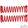 Conjunto de 2 molas curtas -2cm 1302/1303
