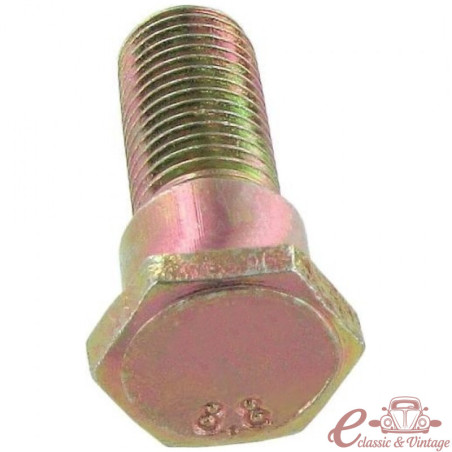 Seat belt screw (with shoulder)