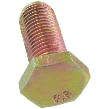Seat belt screw