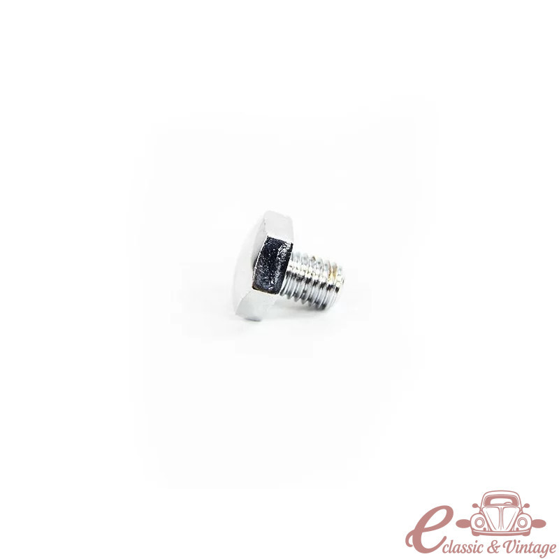 Chrome hubcap screw (1)