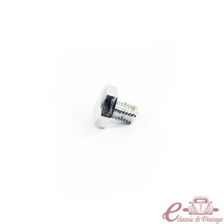 Chrome hubcap screw (1)