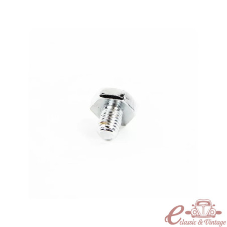 Chrome hubcap screw (1)