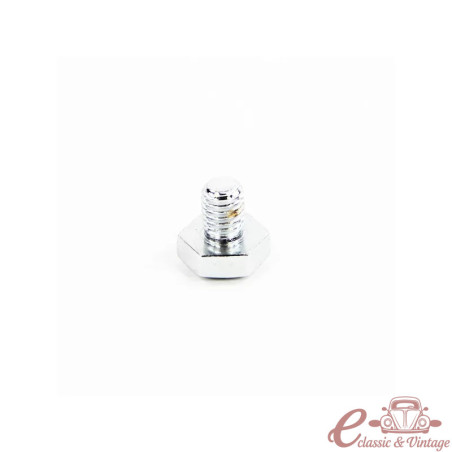 Chrome hubcap screw (1)