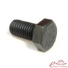 Cargol de la mangueta 1302/03 (M10x20, acer cru 10.9)