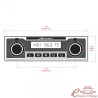 Complete MONZA front panel (specific front panel + display + 2 sets of buttons)